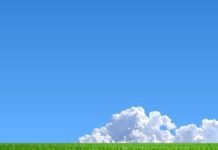 Special ways to live a happy life
