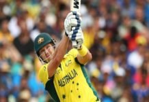 The biggest in fairies played in T20 cricket