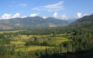shree nagar