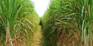 Advantage of schemes to give farmers benefits
