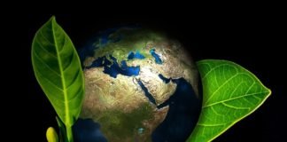 Environment day 2017