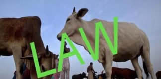new laws of Gau hatya