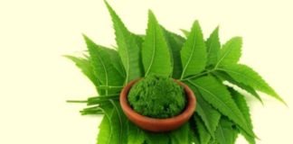 uses of neem