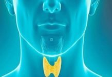 Thyroid