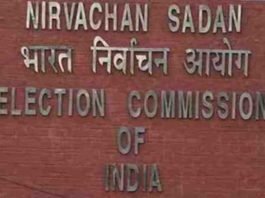 elections