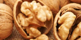 Walnut