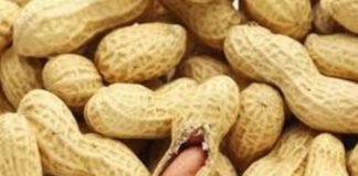 peanut