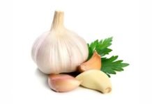 हृदय रोगों में फायदेमंद गुणकारी अंकुरित लहसुन Garlic