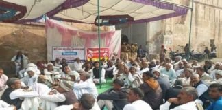 Farmers in churu.