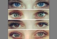 जानिए कैसे आपकी आंखों का रंग आपके व्यक्तित्व का परिचय देता है eye color