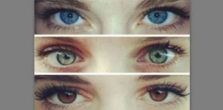 eye color