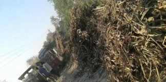 shri mau accident