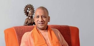 yogi.