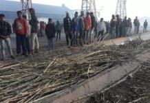 Sugar mill boiler cracked