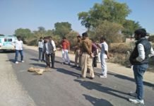 सड़क पर संदिग्ध अवस्था में मृत मिला हिरण, सीने में छेद व खून से सन्ना मिला सीना Deer found dead in suspicious condition on the road
