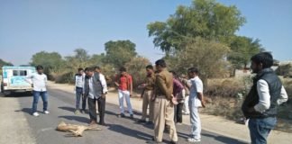 Deer found dead in suspicious condition on the road