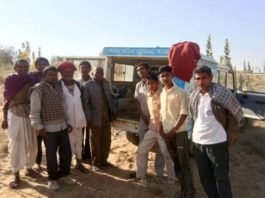 बाड़मेर में श्वानों से मादा हिरण को बचाया Forest team in barmer.