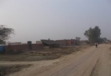 Gram Pradhan's earning