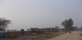 Gram Pradhan's earning