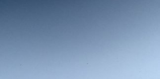 Makar Sankranti