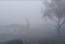fogg in sheohar city