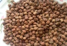 रोजाना करें काले चने का सेवन हो करके हो जायेंगे ताकतवर kala chana