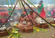 Makar Sankranti