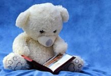 Teddy
