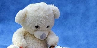 Teddy
