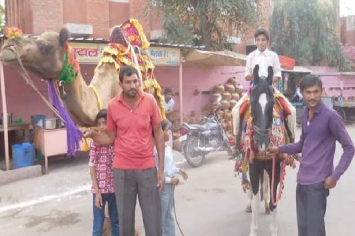 राजगढ़ में निकली गणगौरी तीज की सवारी