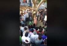 Video: यूपी में एक महिला को 7 घंटे तक पेड़ से बांधकर बेल्ट से पीटा गया और पब्लिक देखती रही UP me Mahila ko pita gya