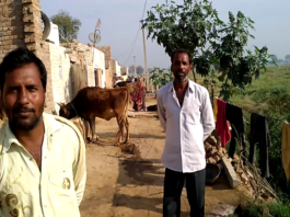 पदमपुर पंचायत समिति के गांव 18बीबी में हरिजन बस्ती के विकास में भेदभाव, हवा हुई स्वच्छता हवा हुई स्वच्छता