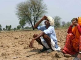 Kisan