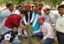 भीमराव अम्बेडकर की जयंती पर सपा कार्यकर्ताओ ने किया पौधारोपण Planting by SP workers