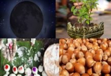सोमवती अमावस्या : धनवान बनने के लिए करें ये 5 काम Somvati amavasya pr labh