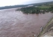 मध्य प्रदेश में भारी बारिश से कूनो नदी ने खेला मौत का खेल