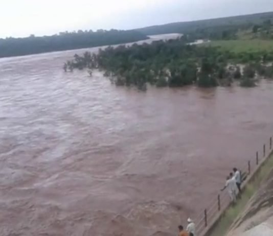 मध्य प्रदेश में भारी बारिश से कूनो नदी ने खेला मौत का खेल