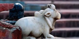 Nandi Baba Sherpur Khurd